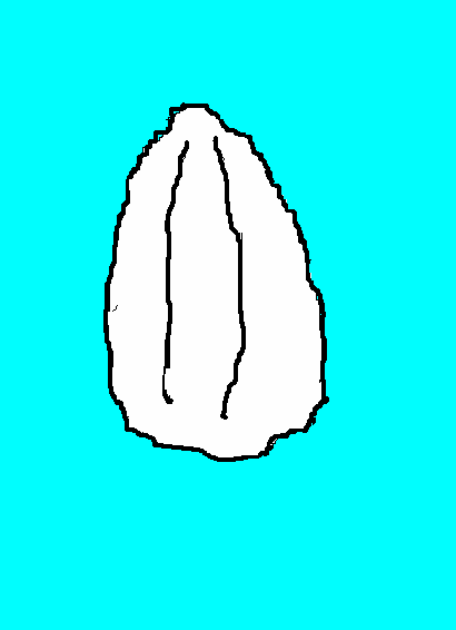 $B%8%c%]%K%+JF(B